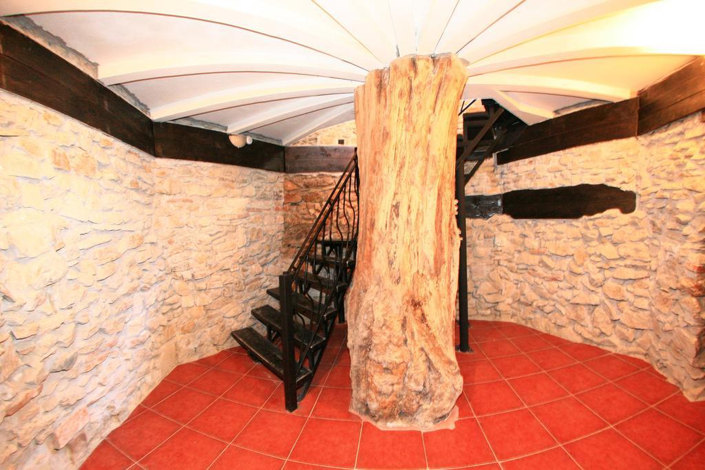 ホテルCastelul Lupilor Chimindia エクステリア 写真