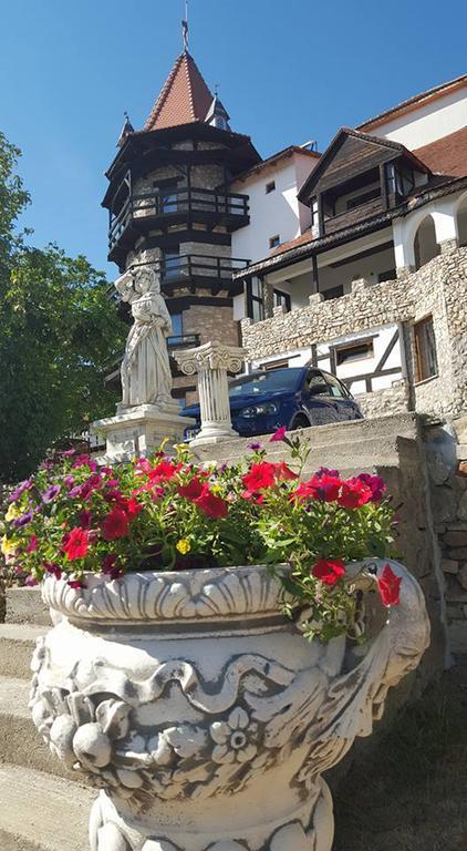 ホテルCastelul Lupilor Chimindia エクステリア 写真